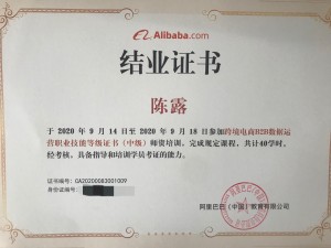 贸易系老师顺利通过跨境电商B2B数据运营“1+X”证书师资考核