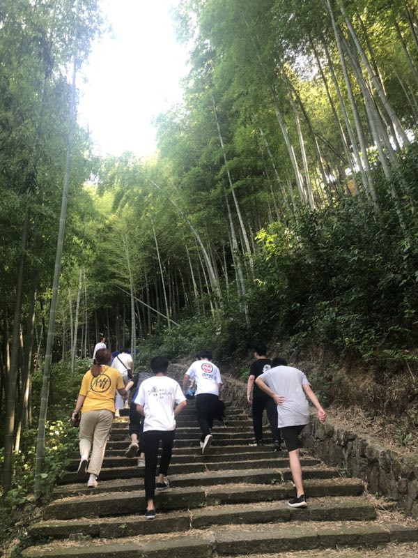 微信图片_20190610194433
